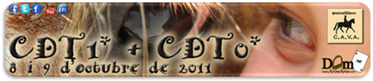 CDT1* C.A.V.A. - 23 de juliol de 2011