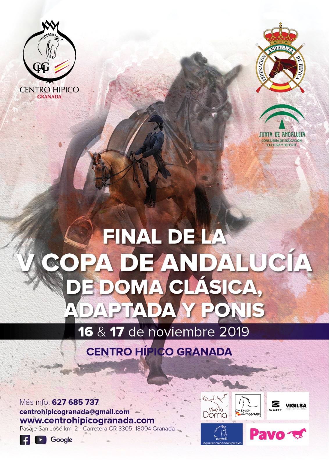 Final V Copa Andalucía Doma Clásica, Adaptada y Ponis 2019